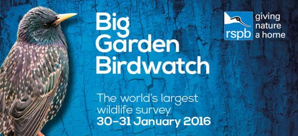 RSPB Big Garden Birdwatch 2016