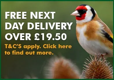 Free next day delivery over £19.50