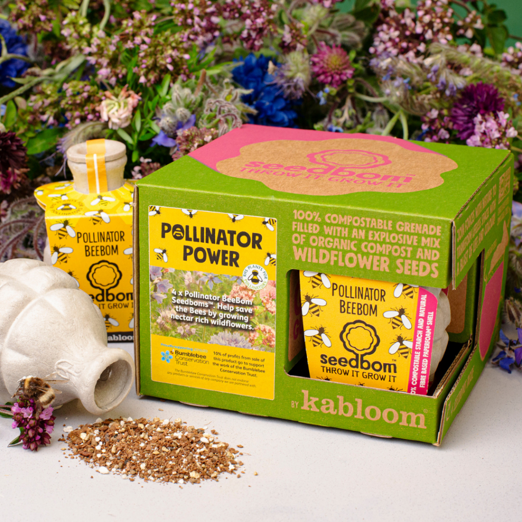 Pollinator Power Gift Set with bumblebee sitting on flower