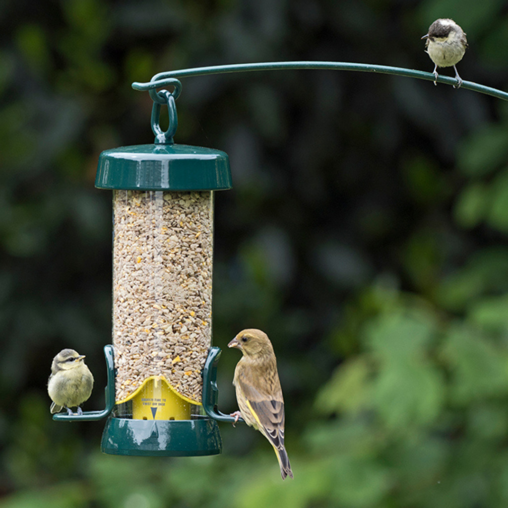 Big Easy Seed Feeder garden gifts for mum hanging from pole with 3 birds eating from it