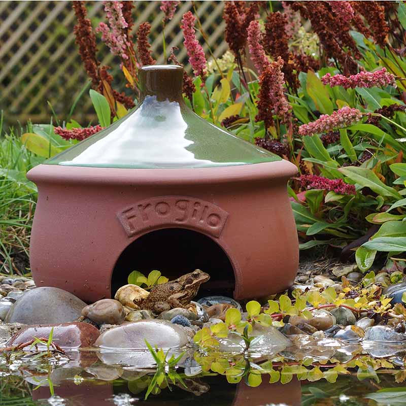 Frogilo Frog & Toad House garden gifts for mum on ground next to pond