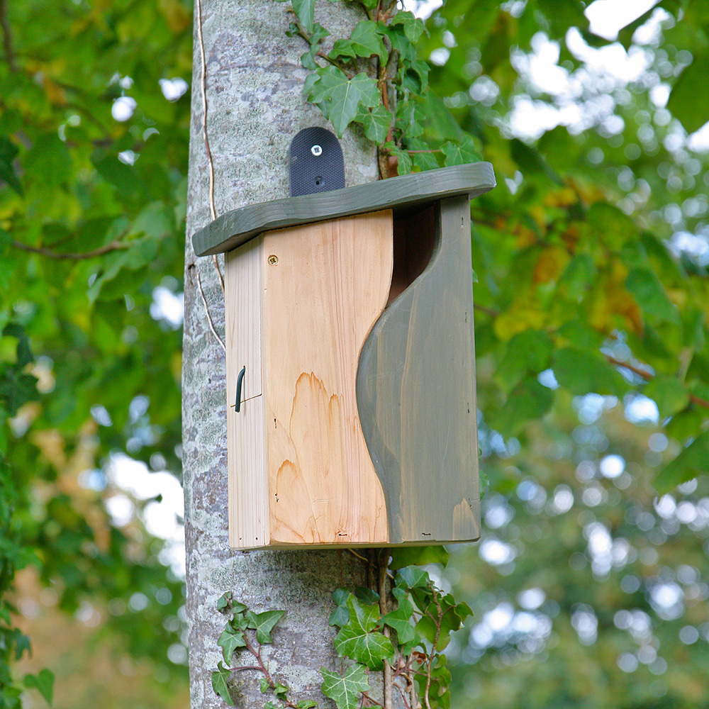 nest box attached to a tree