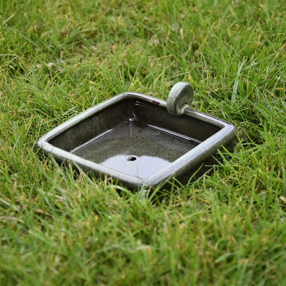 Empty green hedgehog bowl on grass