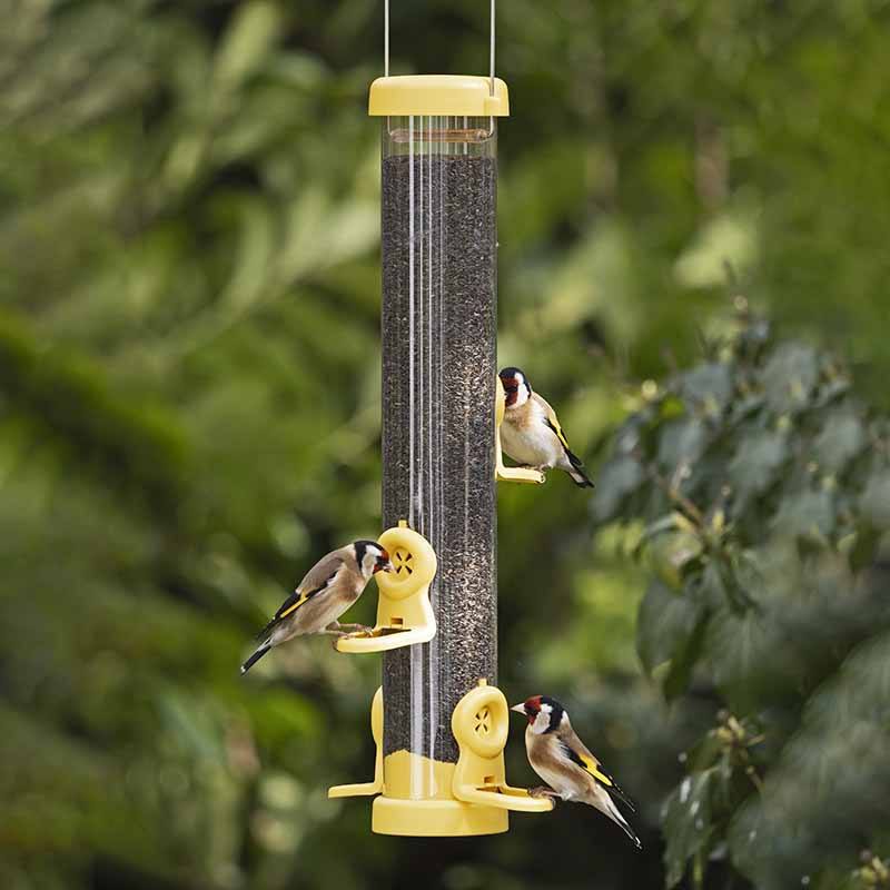 goldfinches sitting on niger feeder