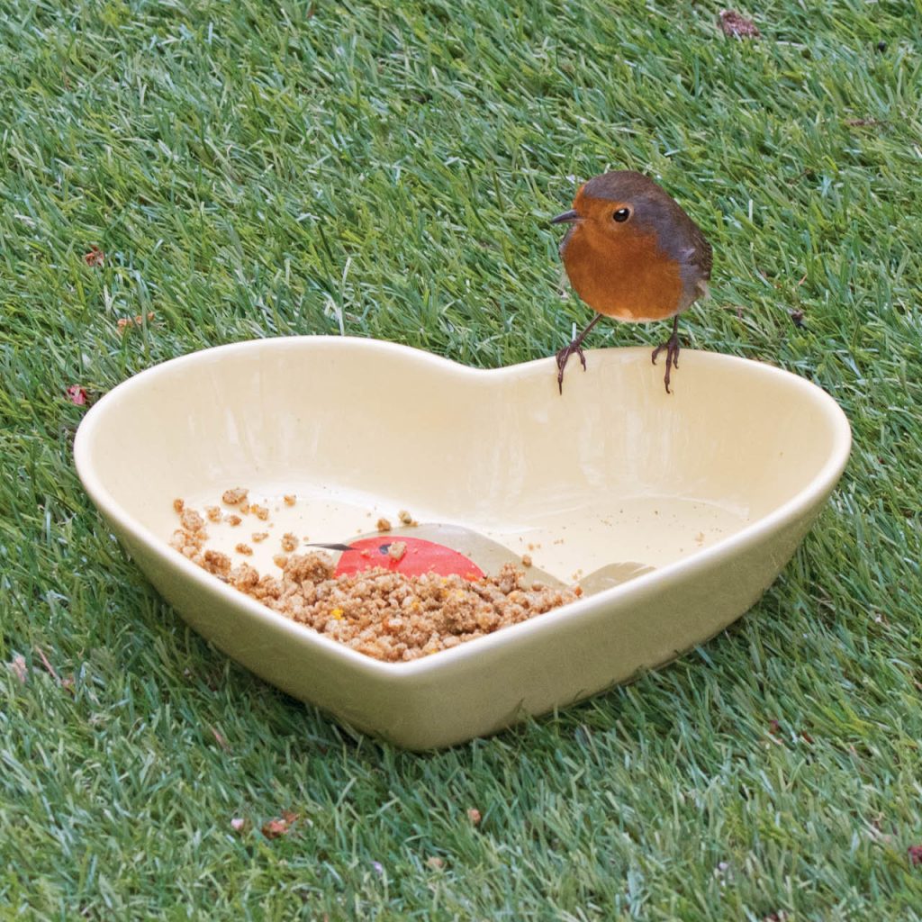 robin perching on easy clean i love robin Ground Feeding & Water Dish