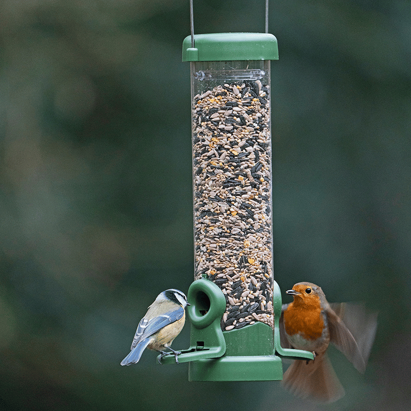 robin and blue tit sitting on green flo seed feeder